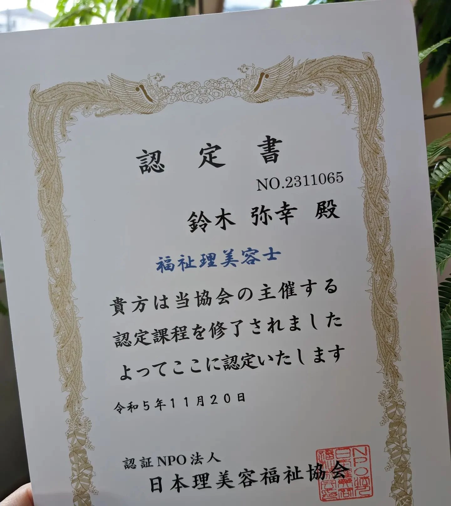 ブログ画像